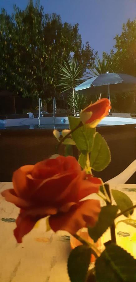L'Isola Felice Apartment เชชินา ภายนอก รูปภาพ