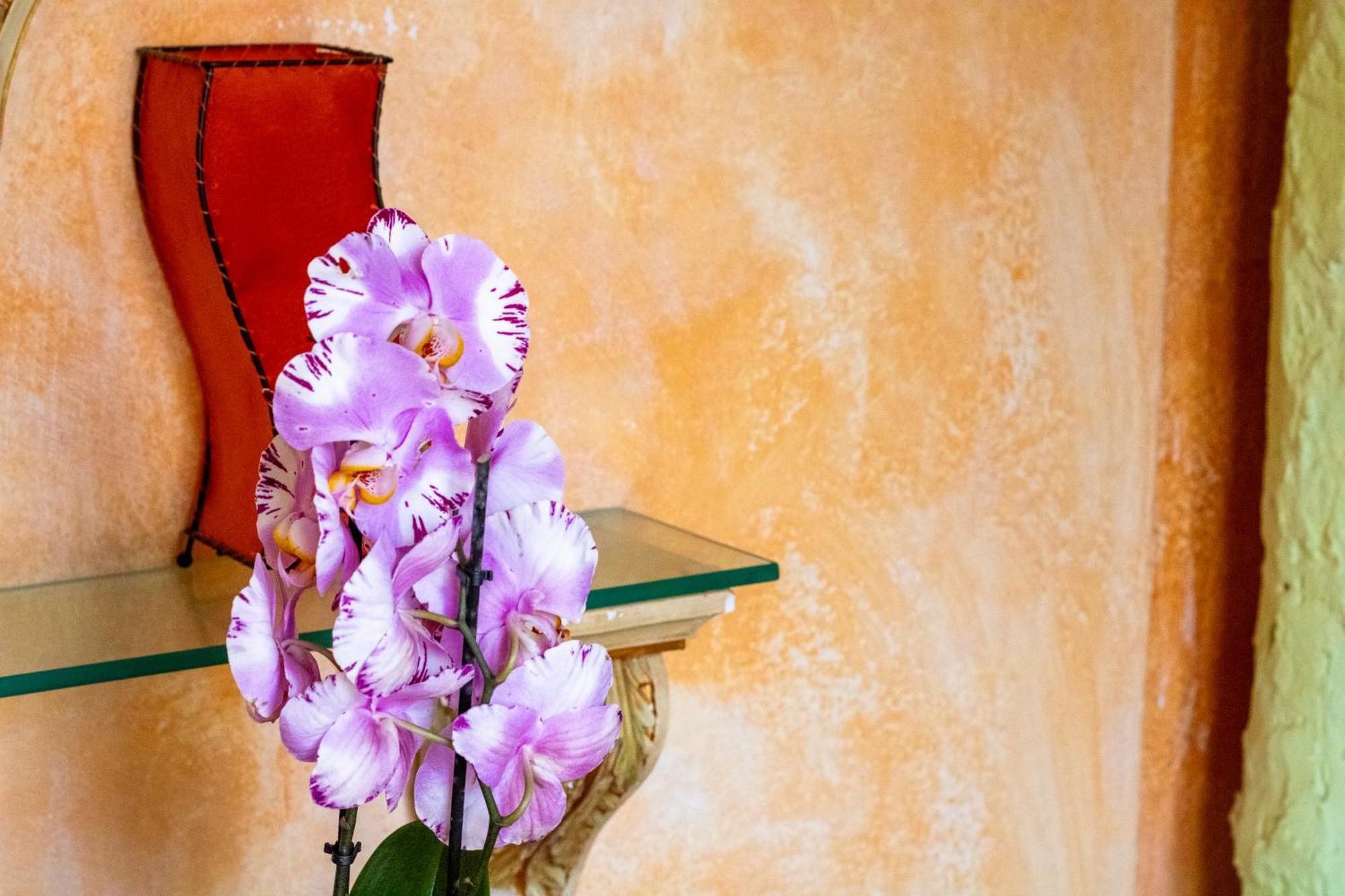 L'Isola Felice Apartment เชชินา ภายนอก รูปภาพ